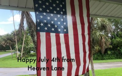 Freedom From Dieting