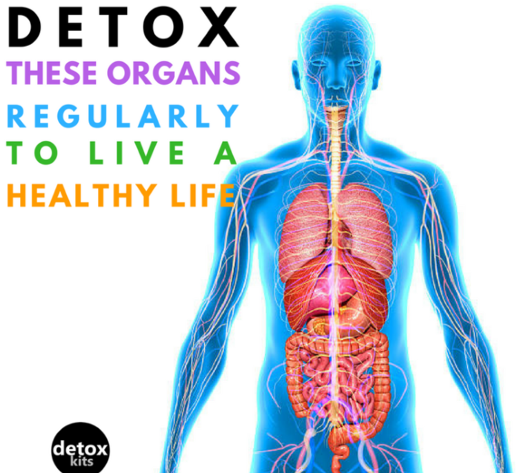 Detoxing: the Devil is in the Details - Heaven Lane Healing