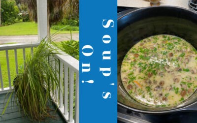 Thai Coconut Soup is Great in the Summer Too!