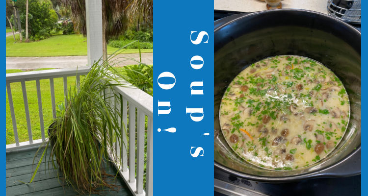 Thai Coconut Soup is Great in the Summer Too!