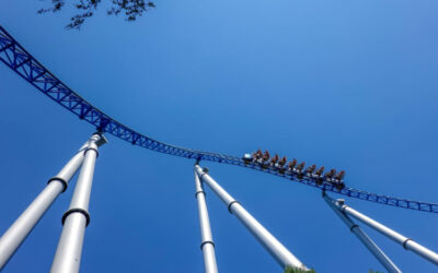 The Energy and Emotional Rollercoaster of Life