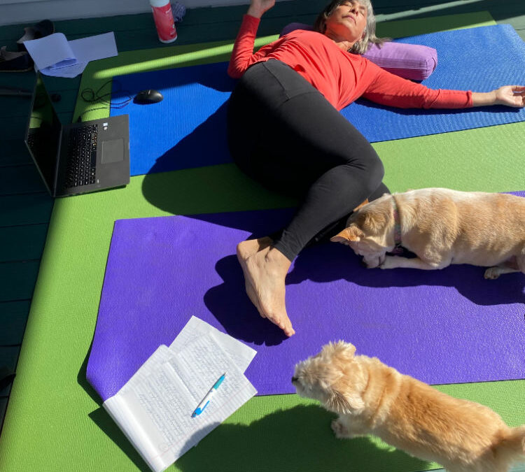 Somatics Repattern Your Muscles and Your Nervous System