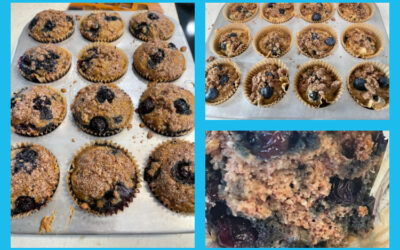 Best Blueberry Muffins