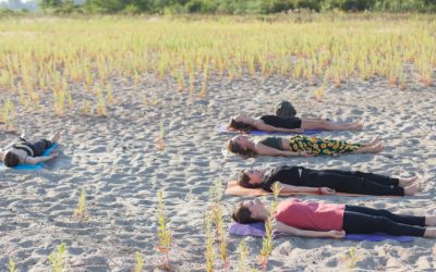 Yoga Nidra Could be the Answer to Your Sleep Problems