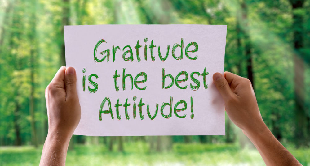 Developing the Gratitude Muscle