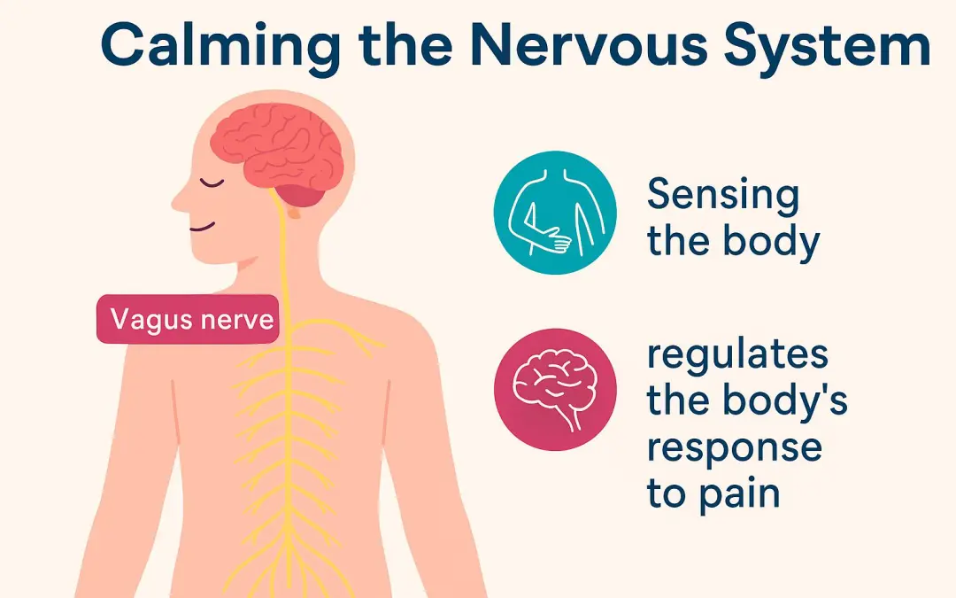 Understanding the Nervous System’s Role in How You Feel